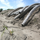 Image for article titled Los Angeles Is Considering Publicly 'Drought Shaming' Excessive Water Users